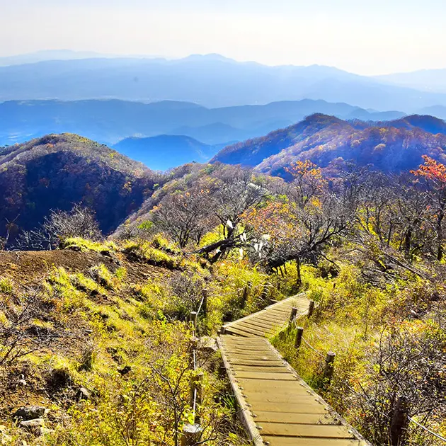 大山登山 