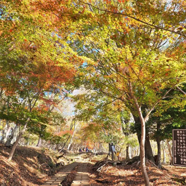 大山登山