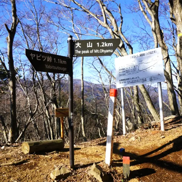 大山登山