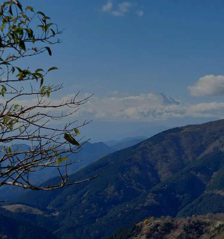 登山・アウトドア