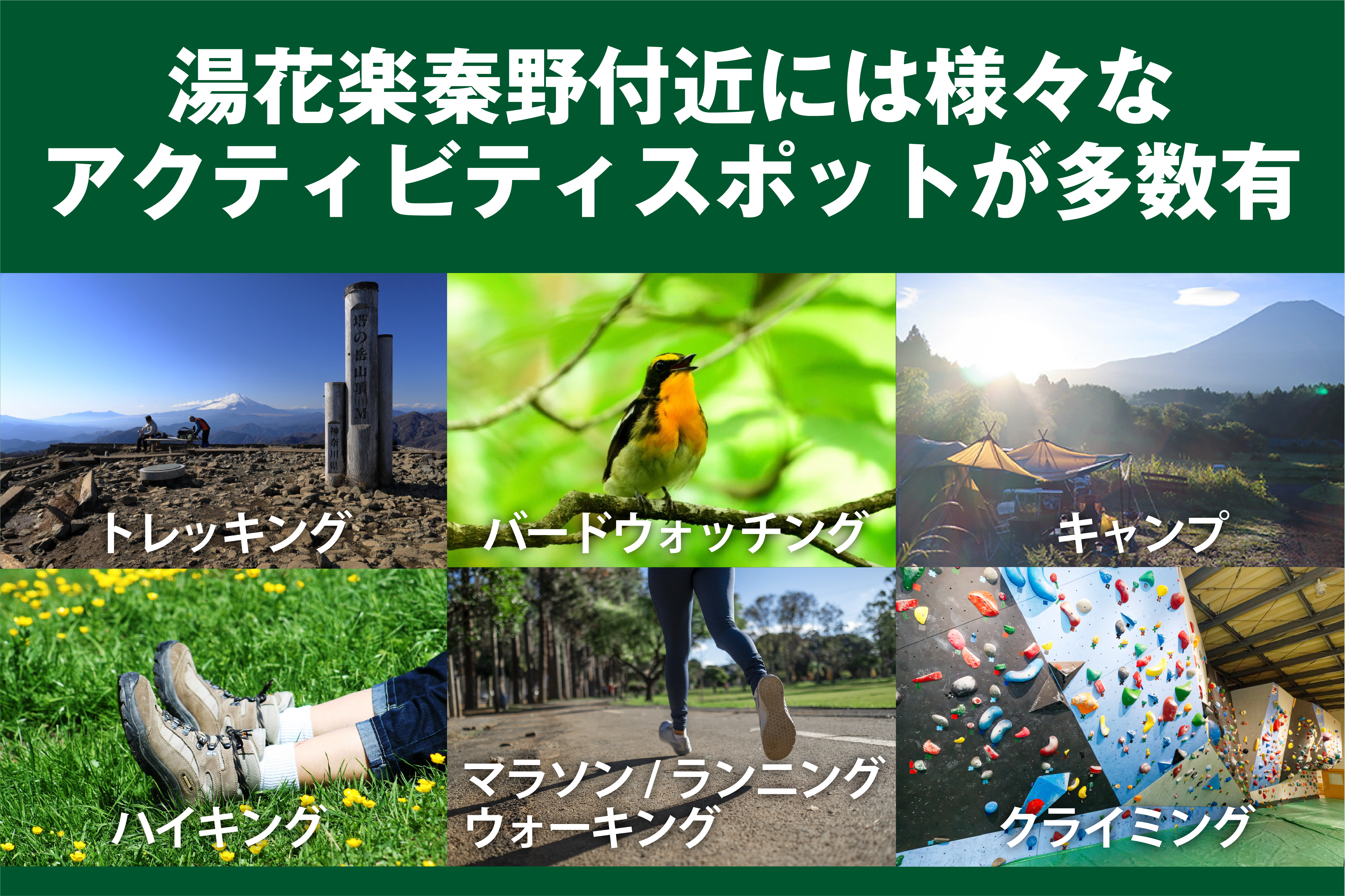近隣観光・アクティビティ情報サイト